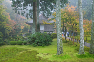 Große Grundstücke für große Gärten