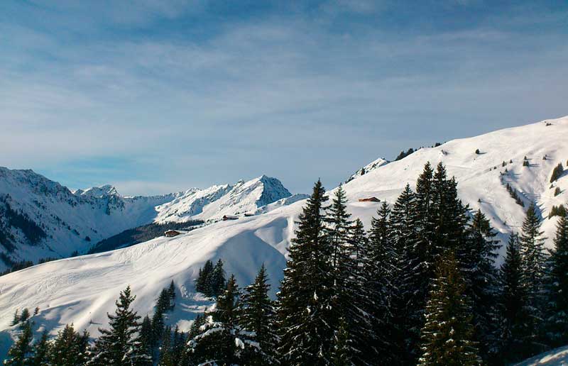 Optimale Wohnung in einem wahren…