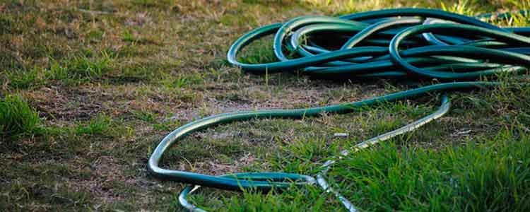 Rasen nach dem heißen Sommer fit…