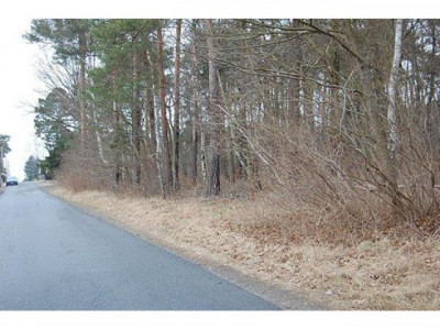 Grundstück Nähe Lausitzer Seengebiet!