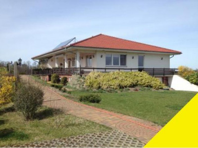 Reiterhof, Landsitz mit Gestüt