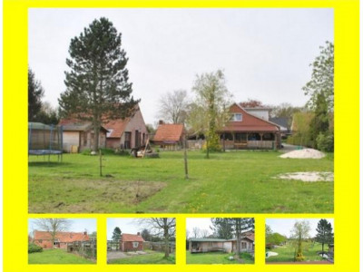 Pferdefreunde aufgepasst!! 1,3 ha Land direkt am Haus!!