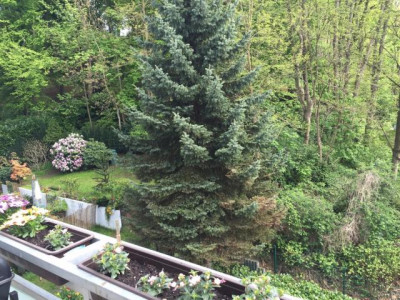 Schicke Stadtwohnung im Grünen