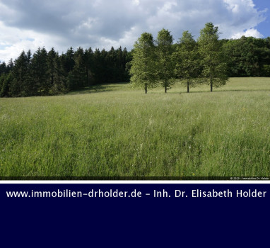 VERKAUFT !!! Viel Grünland und Wald am Stück, Grundstück, Kauf, St. Johann