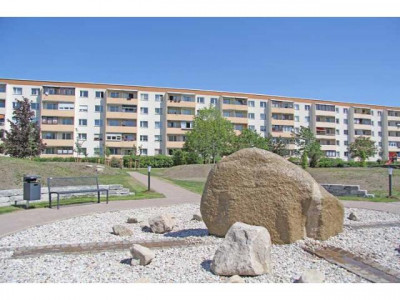 Selber renovieren und Kohle sparen !!!