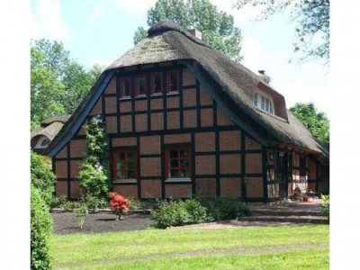 fi-con Immobilien * Freistehendes Reetdach Anwesen - 3 Familien plus Storch auf dem Dach