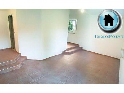 komplett renoviertes Appartement !!! inkl. Terrasse (IP 1 SB 31 - UGL1)