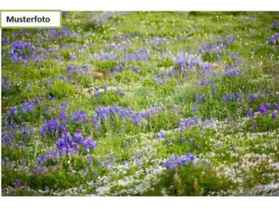 Zwangsversteigerung Grundstück Land und Forstwirtschaft in 25451 Quickborn