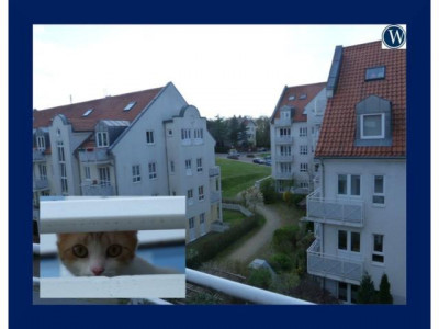 °°Meine Katze und ich genießen hier den Blick über die Dächer°° 1-Raum-Appartement – PROVISIONSFREI