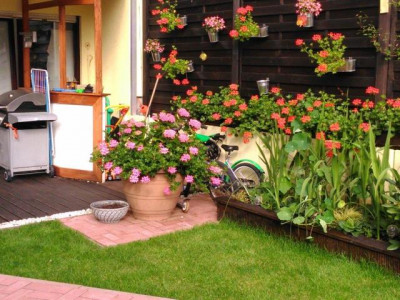 Den Frühling auf der eigenen Terrasse erleben!