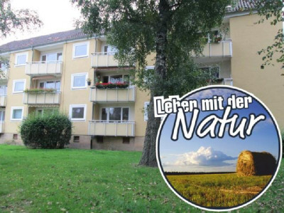 3 Zimmer Etagenwohnung mit Balkon in Hallendorf - vollständig renoviert