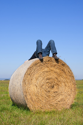 Testanzeige vom 17.2.21