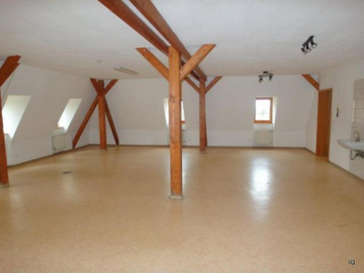 Für Kreative Köpfe! Geräumige Gewerbefläche mit Potential - romantisch am Schönfelder Schlossteich gelegen