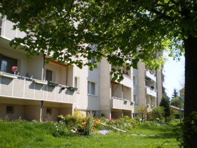 kleine Familienwohnung im grünen Stadtteil Liebschwitz