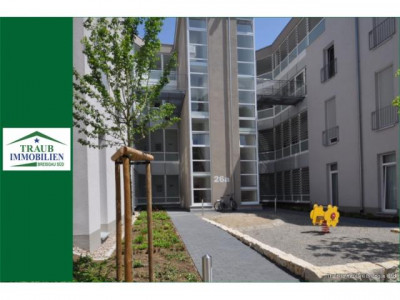 Top  2 Zi -Wohnung mit Terrasse und Tg Stellplatz in ruhiger Lage in Breisach zu vermieten.