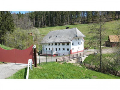 Traumhaftes Anwesen mit 1000 Möglichkeiten