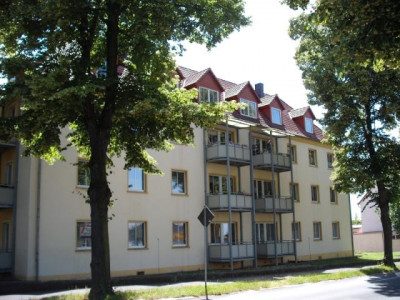 unschlagbarer Preis: 265,00 netto kalt