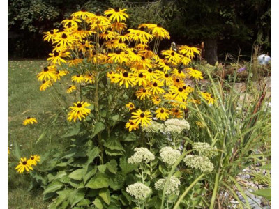 Ofterdingen! - schöner Bauplatz in ruhiger Lage