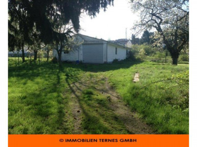 Befahrbare Halle mit Rolltor in Wahlschied !