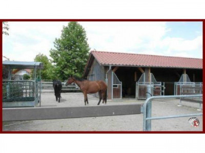 Traumhafte Reitanlage mit neuem EFH im Bäderdreieck Bad Füssing