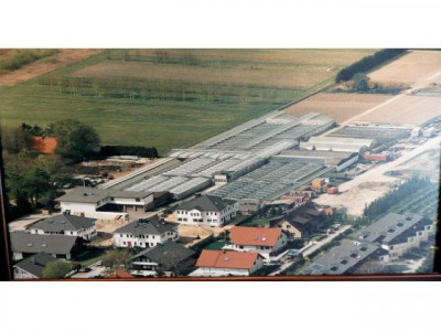 Wohnhaus mit 3 Wohneinheiten, Massivbauweise mit  angrenzender Gärtnerei, Gesamtfläche 17.430 m²