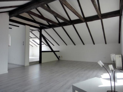 Gemütliche Dachgeschoss- Wohnung mit Balkon und Privatgarten