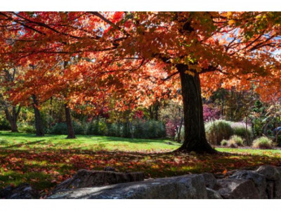 D-Berlin-Friedenau-Traumwohnung für Kapitalanleger o. Eigennutzer-3Zi-104qm-Blk-L-EB nach Sanierung