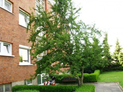 Geräumige Eigentumswohnung in gepflegtem Mehrfamilienhaus für wenig Geld - Rendite !