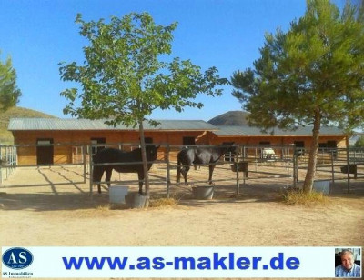 *Sonderpreis* Pferderanch mit 2 Häuser auf 138000 qm Grundstück günstig zu verkaufen!