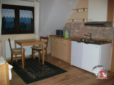 1 - Zimmer Apartment - vollmöbliert!