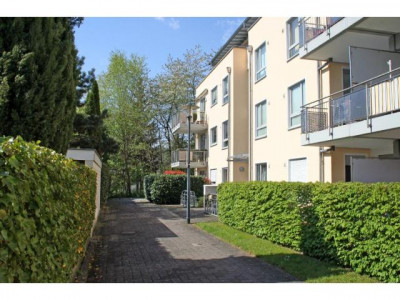 Schöne 2-Zimmer-Stadtwohnung - Erdgeschoss - mit Einbauküche, Terrasse und Aufzug