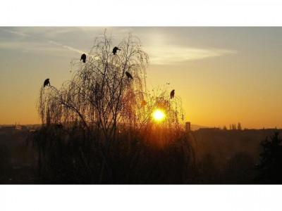 Frisch renovierte 2-Zimmer-Dachwohnung mit Balkon, Parkettboden und Einbauküche