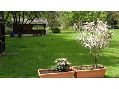 NATUR WIE IM URLAUB - Stadtgrenze Leichlingen - EBK - Garage