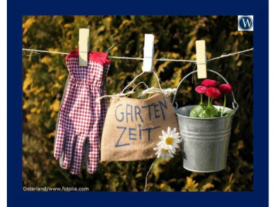 Sommer ist Gartenzeit!! 1-Raum-Wohnung mit großer Terrasse und Garten!! PROVISIONSFREI
