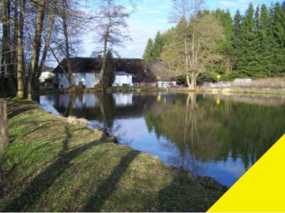 Ehemalige Mühle mit großem Weiher und Weideland für Pferde.