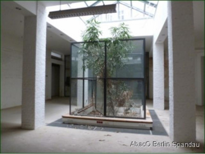 Herrschaftlicher Stuckaltbau zum Sanieren ! Ihrer Phantasie sind keine Grenzen gesetzt.