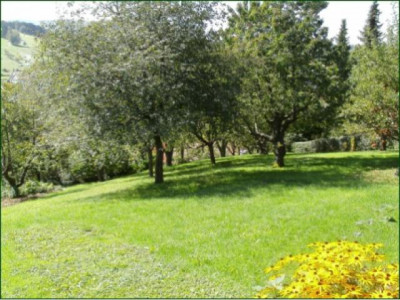 AbacO - ~Kinderfreundliches Einfamilienhaus mit sehr gepflegten Garten  in 72417 Jungingen~