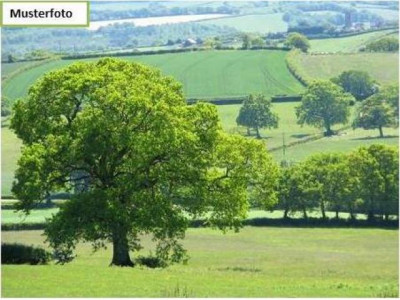 Zwangsversteigerung Gewerbe/Anlage in 14621 Schönwalde, Normannweg