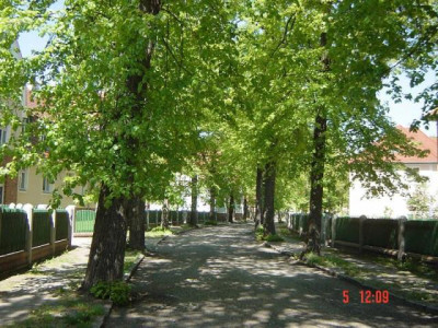 ++ Rock am Ring? oder Wohnen in der Ringstraße? ++