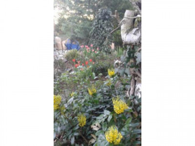 Privater Mini Botanischer Garten Nähe Eilenburg sucht leidenschaftliches Gärtnerherz