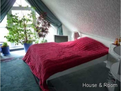 Schönes Dachbodenzimmer in Sarstedt! Für Frauen.