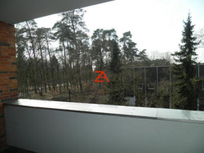 3 Zi- f Paare od. Familien in 33689 BI-Sennestadt