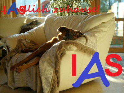 **Günstige 3-Zimmer-Wohnung in Schmidmühlen zu vermieten**