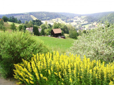 Exklusives Objekt in seltener Traumlage mit sehr hohem Wertsteigerungspotential