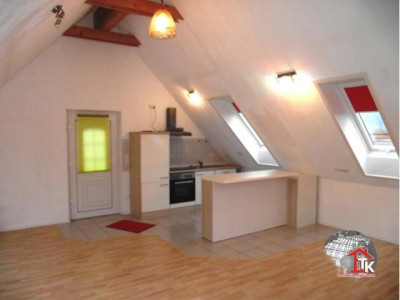 1 Zim.-Loftwohnung in Oettingen