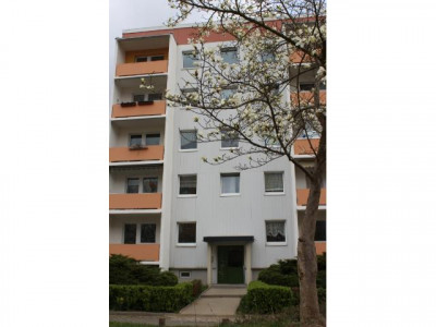 Jetzt wird´s bunt! Der Frühling ist da...