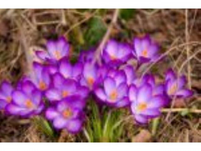 Genau der richtige Bauplatz für Ihr Traumhaus