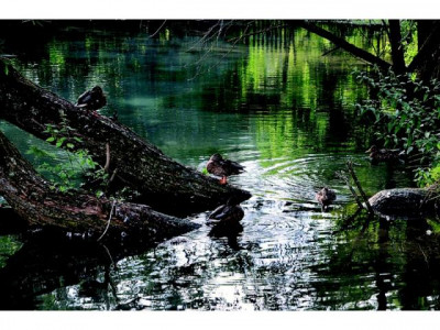 EINFACH. GUT. LEBEN. WOHNUNGEN MIT SCHICKEN SCHNITTEN ERFÜLLEN ALLE BEDÜRFNISSE IN LANGENAU!