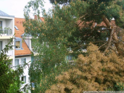 3 Zimmer Wohnung - ruhig und dennoch zentral gelegen