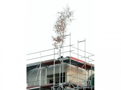 Traumhafter Wasserblick +++ helle 3- Zimmer-Wohnung in Werder (Havel)